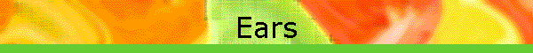 Ears