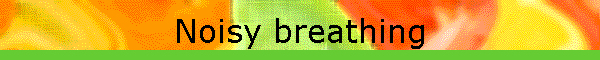 Noisy breathing