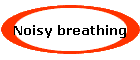 Noisy breathing